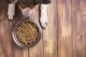 De voordelen van natuurlijk hondenvoer zonder granen voor de gezondheid van jouw trouwe horconwebshop.be