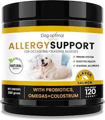 hondenvoer allergie