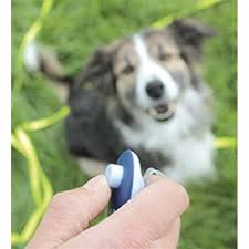 honden clicker training