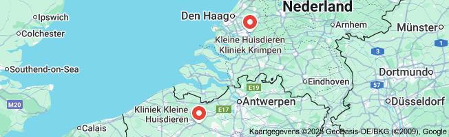 kleine huisdierenkliniek
