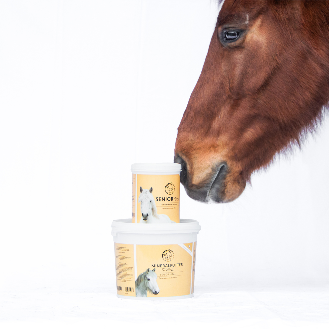 hondenvoer voor gevoelige darmen