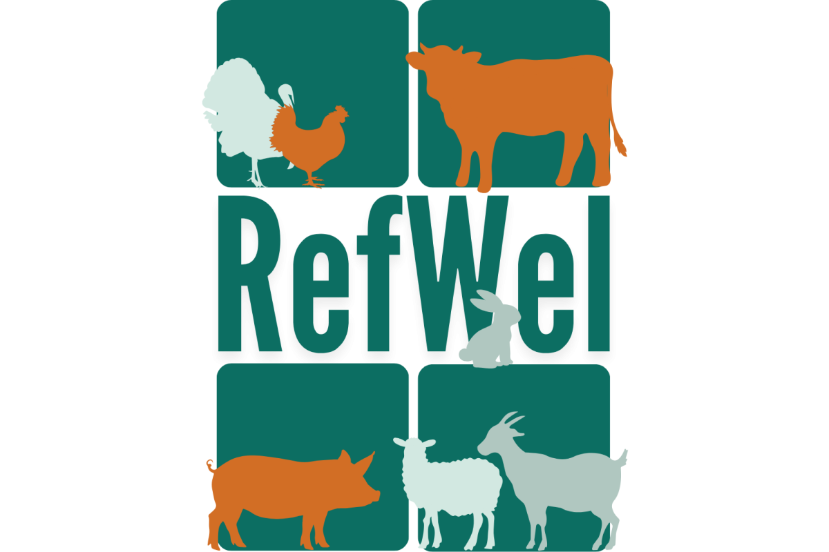 inspecteur dierenwelzijn vlaanderen