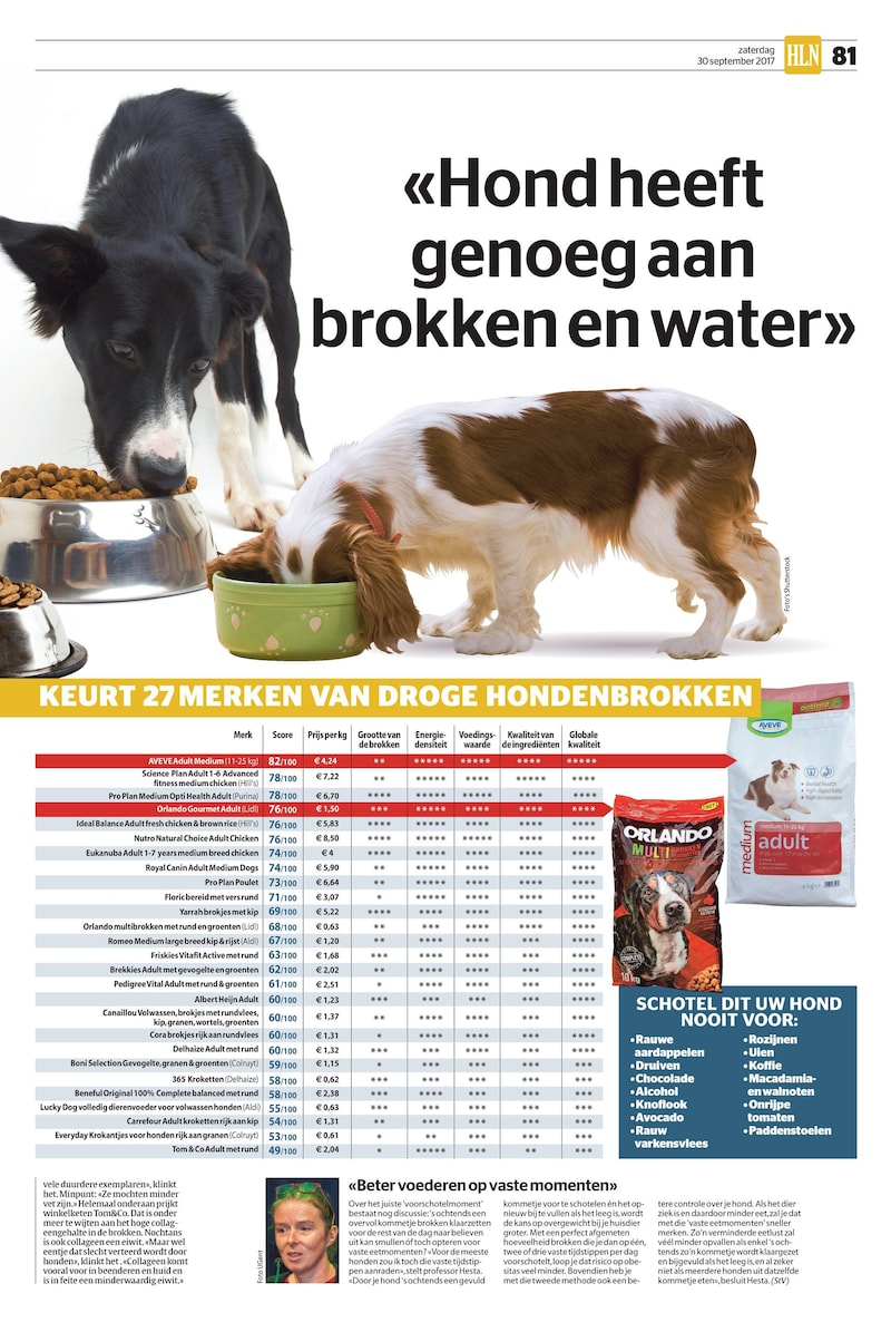 orlando hondenbrokken