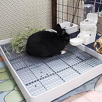 kattenbak met rooster