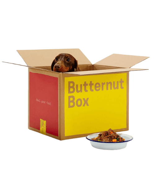 hondenvoer gesteriliseerde hond