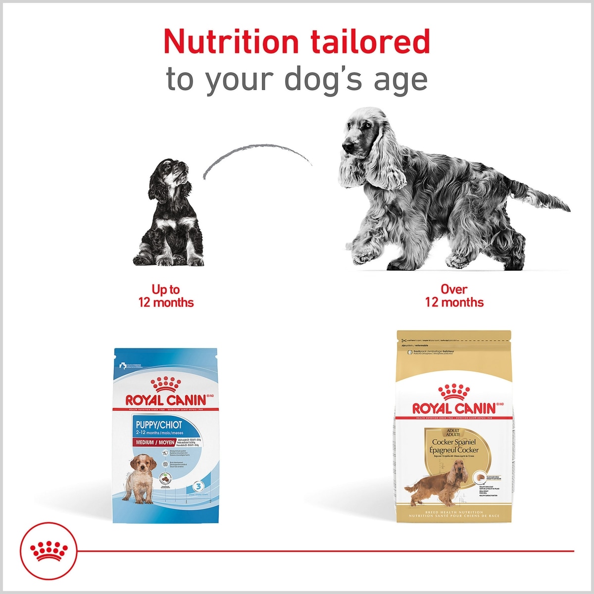 royal canin goedkoop