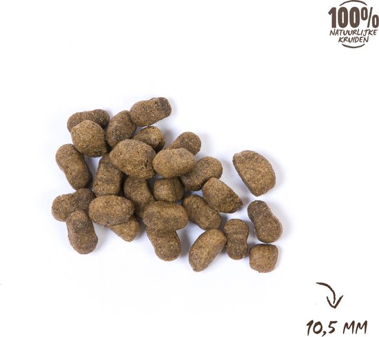 hondenbrokken huidproblemen