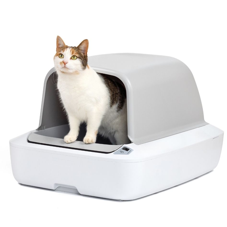 smartsift kattenbak