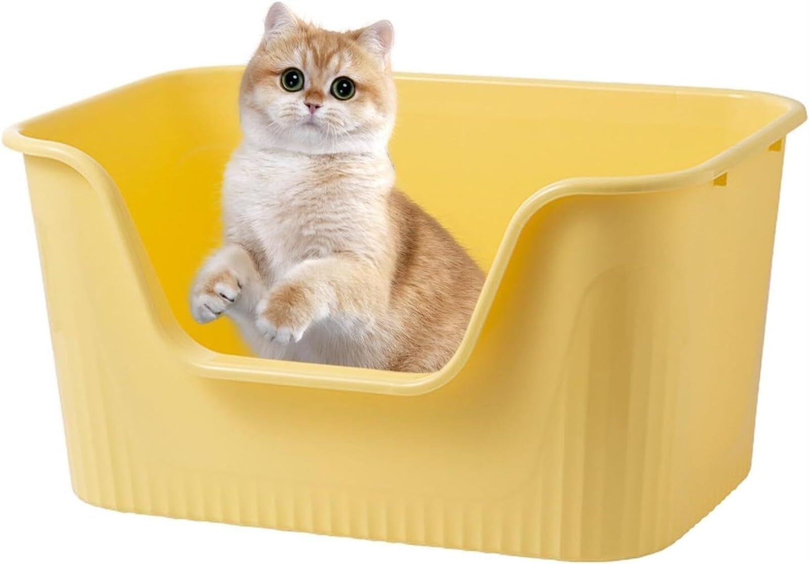 soorten kattenbakken