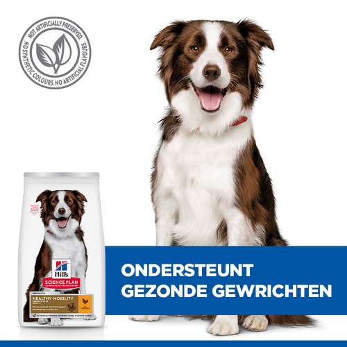 hondenvoer voor gewrichten